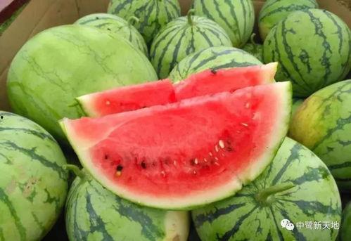 座等吃瓜,揭秘网络热议背后的真相与趣味